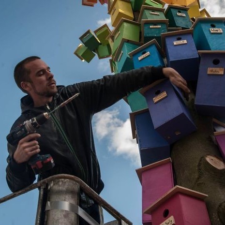 Artist Thomas Dambo has built over 3,500 birdhouses from recycled materials and scrapwood. Artist Thomas Dambo has built over 3,500 birdhouses from recycled materials and scrapwood.
