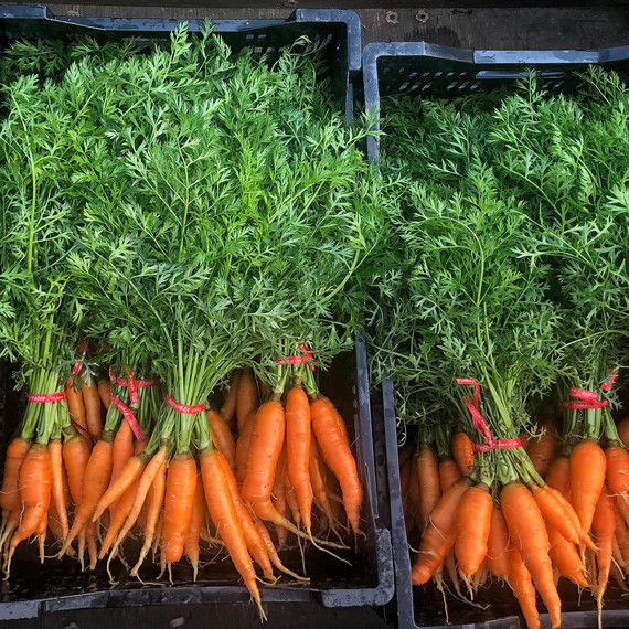 bunches of carrots in black boxes bunches of carrots in black boxes
