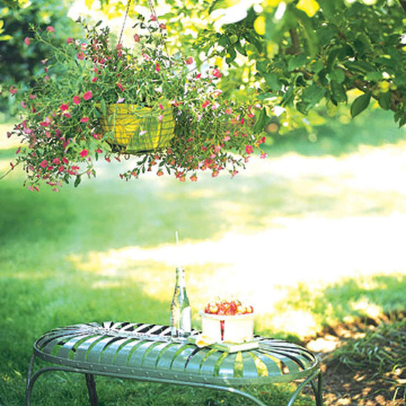 landscaping trends bench landscaping trends bench