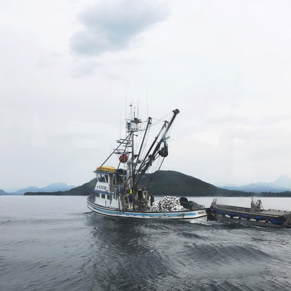 orion boat drifters fish orion boat drifters fish