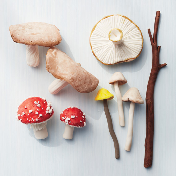 painted-mushrooms-035-d111566.jpg