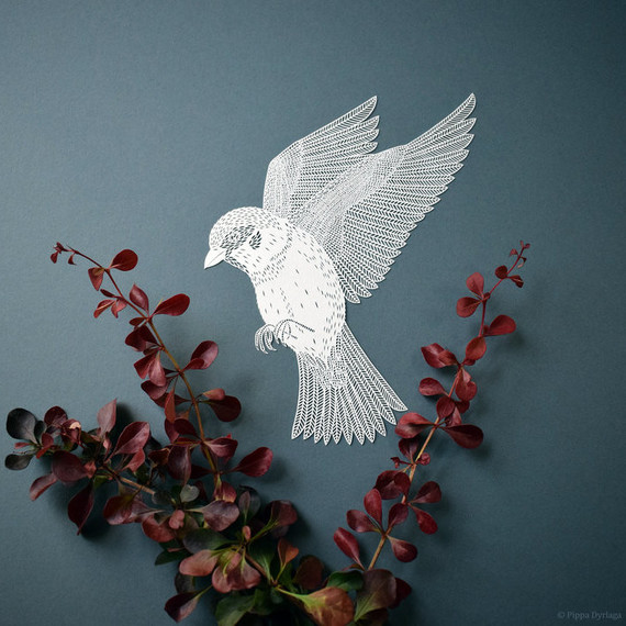 papercut by Pippa Dyrlaga papercut by Pippa Dyrlaga