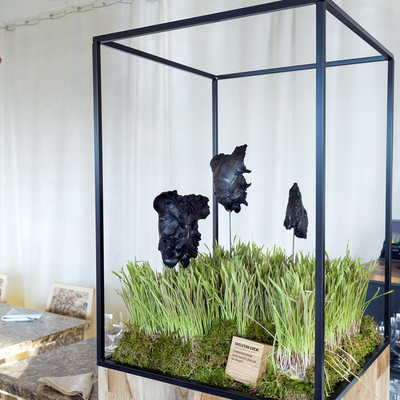 seaweed-lamp-wastedpopup-0317