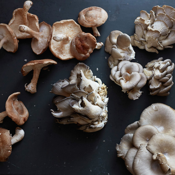 shitake-oyster-mushrooms-0116.jpg (skyword:217067)