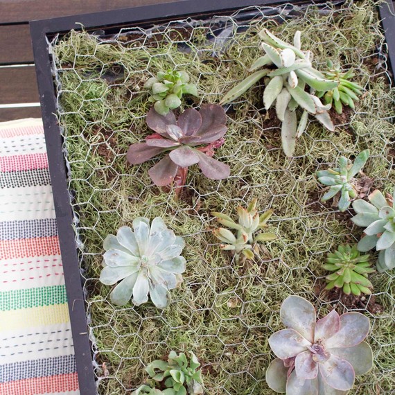 How To Build A Succulent Wall Planter Martha Stewart Succulent Wall Planter