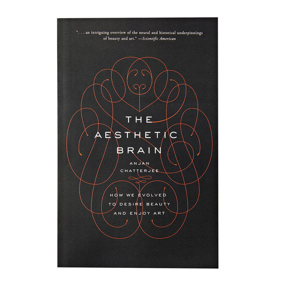 the aesthetic brain the aesthetic brain