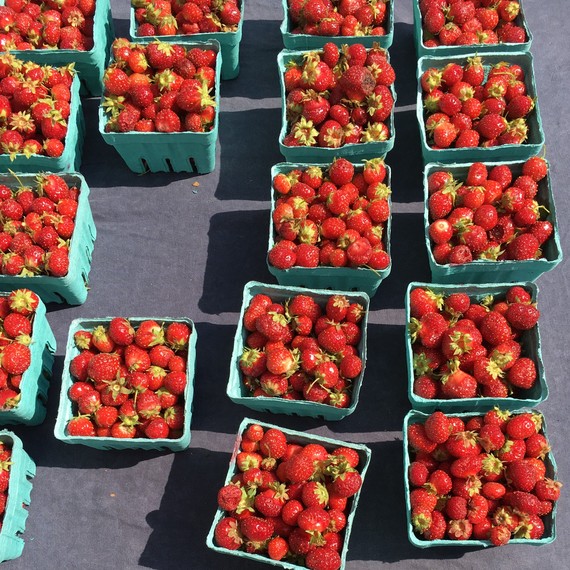 tristar strawberries tristar strawberries