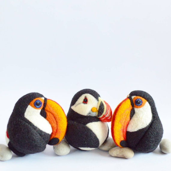 Toucans Toucans