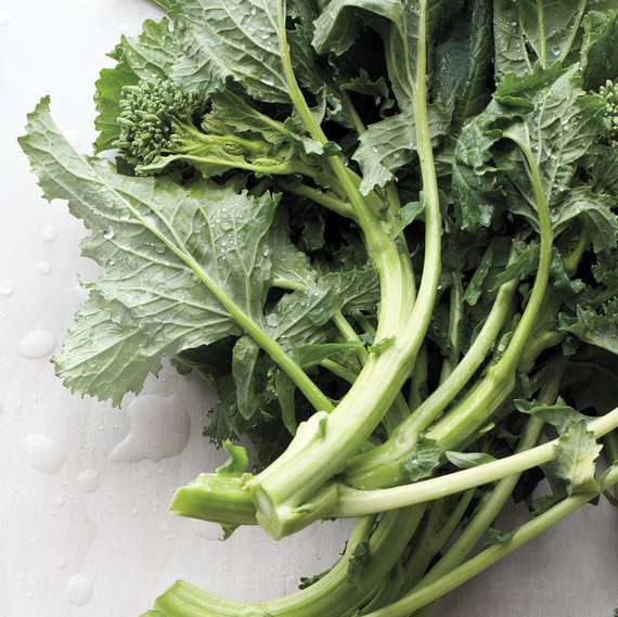 broccoli rabe broccoli rabe