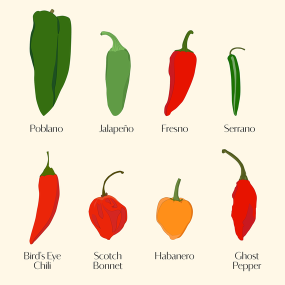 Eight Varieties of Chile Peppers Eight Varieties of Chile Peppers