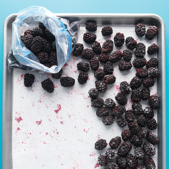 freezing berries freezing-fruit-berries-d105881