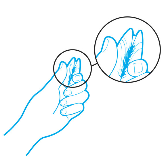 how-to-shuck-oysters-1-i112134.jpg