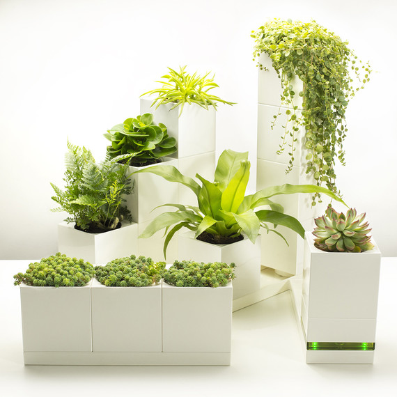 modular planters modular planters