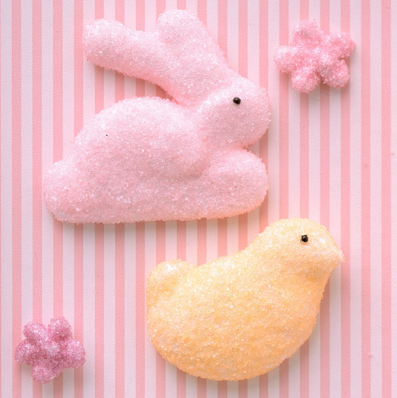 marshmallow rabbit bird stripe background marshmallow rabbit bird stripe background