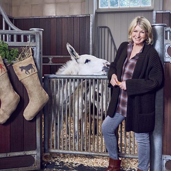 martha in stables with donkey martha in stables with donkey