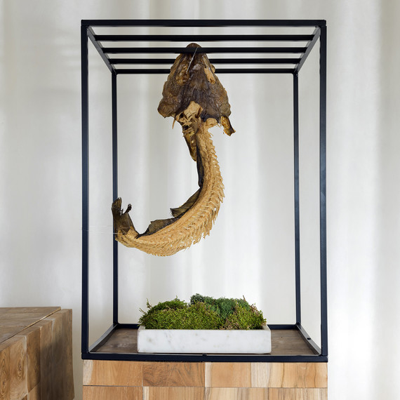 mushroom-lamp-wastedpopup-0317