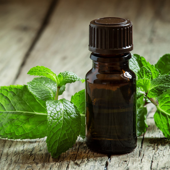 pepper mint oil leaves pepper mint oil leaves