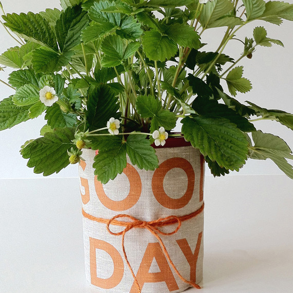 studiopatro-plant-wrap-am-0314.jpg