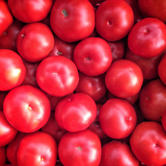 tomatoes ten mothers farm tomatoes ten mothers farm