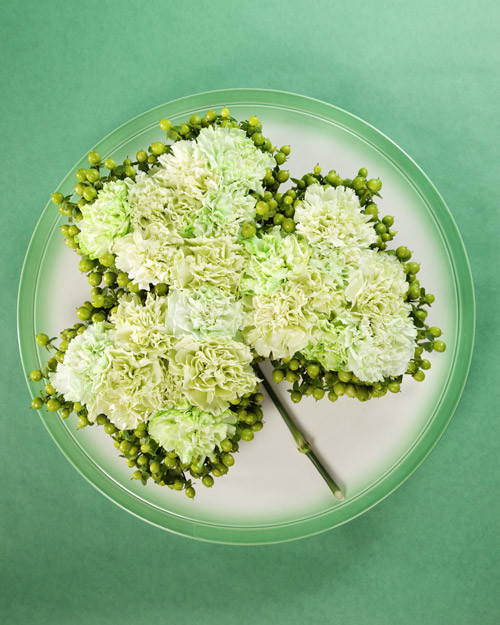 4119_031709_shamrockarrangement.jpg