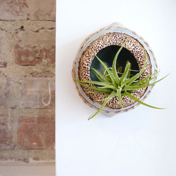 air-plant-apartment-decor-06-15