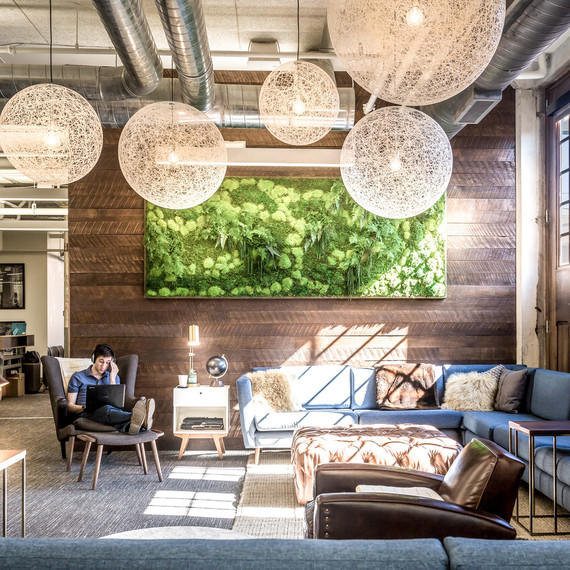 moss hanging lounge space moss hanging lounge space