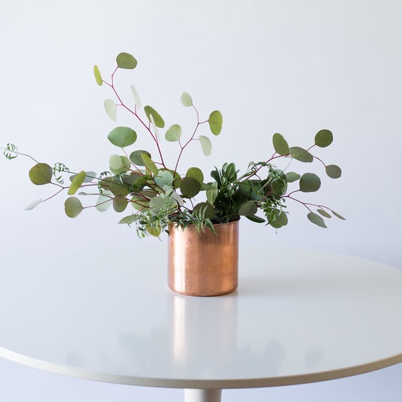 step-2-foliage-euc-jasmine-030915
