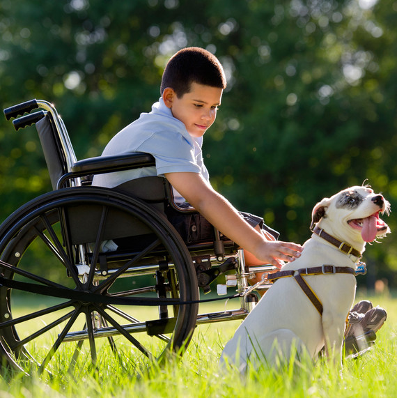 boy petting dog