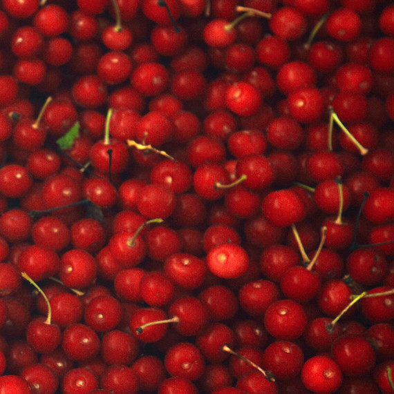 cherries cherries