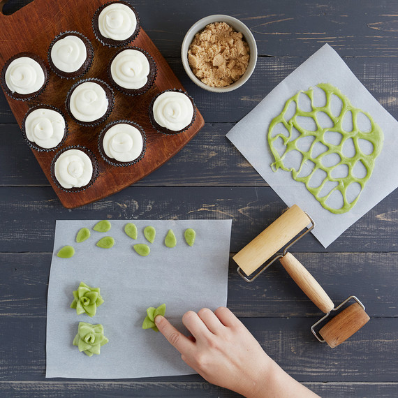 easy-candy-succulents-80517-334.jpg (skyword:432177)