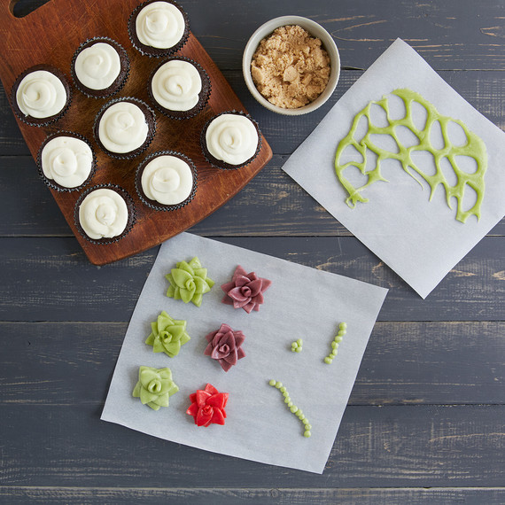 easy-candy-succulents-80517-338.jpg (skyword:432180)