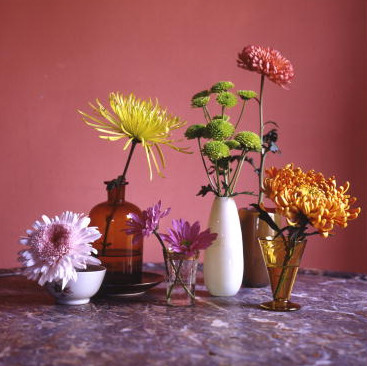 fall-flowers-chrysanthemum-1014.jpg