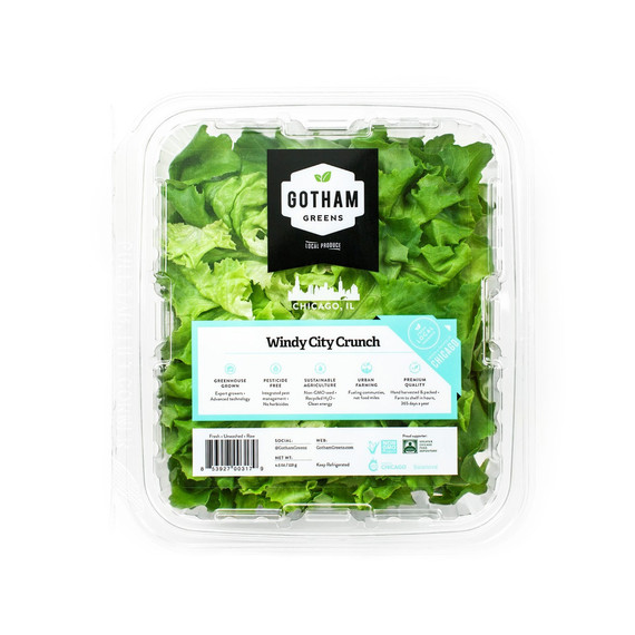 gotham-green-clamshell-003-0416.jpg