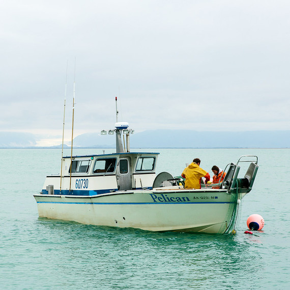 boat salmon fishing boat salmon fishing