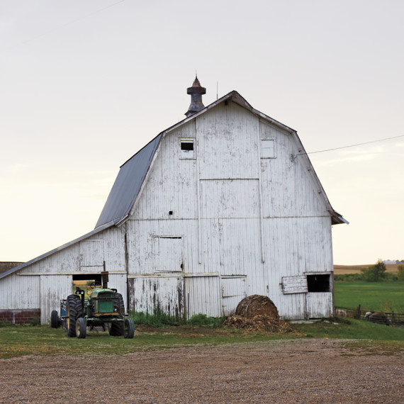 pig-farm-iowa-06a6238-mld109360.jpg