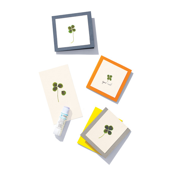 pressed-clover-card-023-d111686.jpg