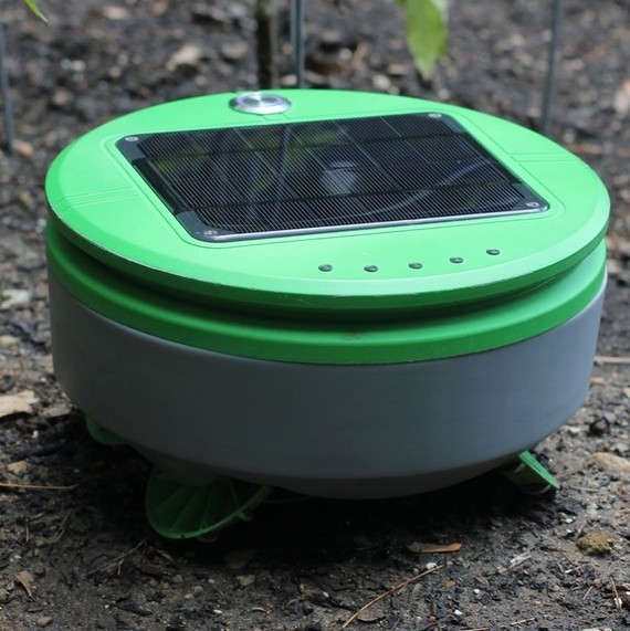 tertill-robot-weeder-large-0617