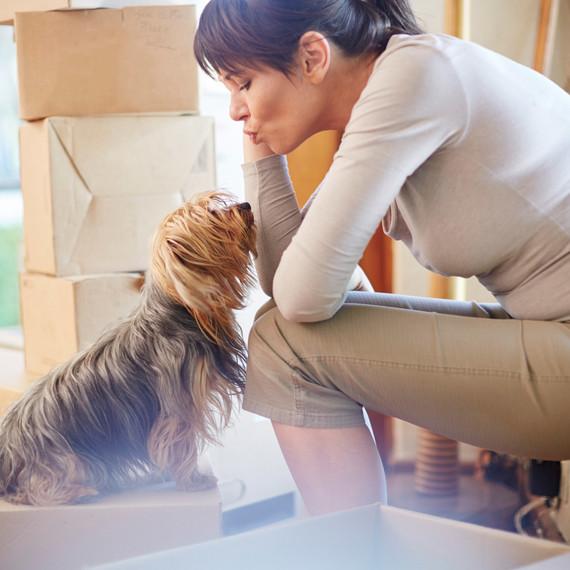 Woman and Dog sitting on Boxes Woman and Dog sitting on Boxes
