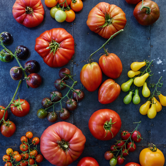 07-tomato-glossary-68582-d112503.jpg