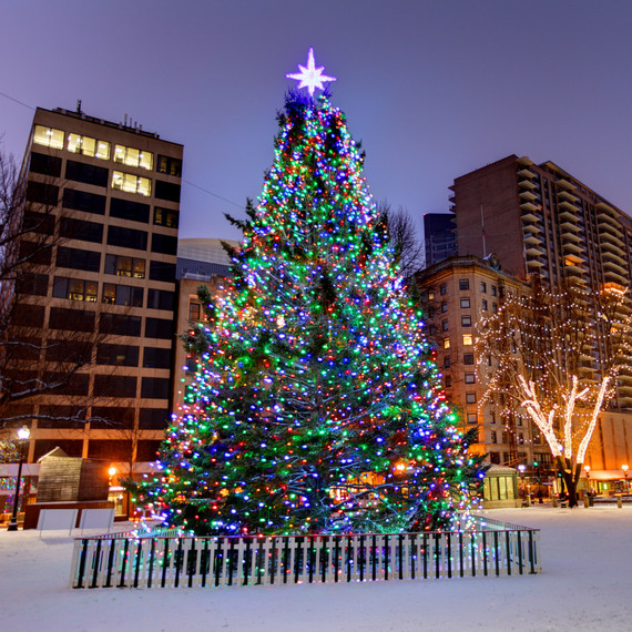surprise boston s christmas tree comes from a new place surprise boston s christmas tree comes from a new place