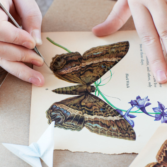 butterfly-details-2-lova-blavarg.jpg