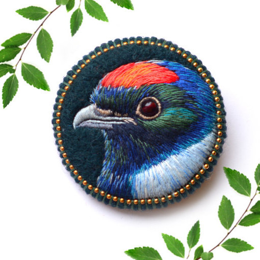 colorful bird by paulina bartnik colorful bird by paulina bartnik