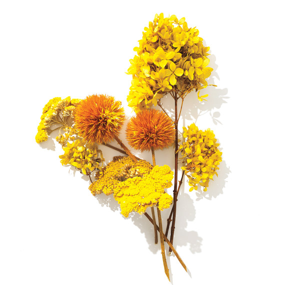 dried-wreath-bundles-082-d112159.jpg