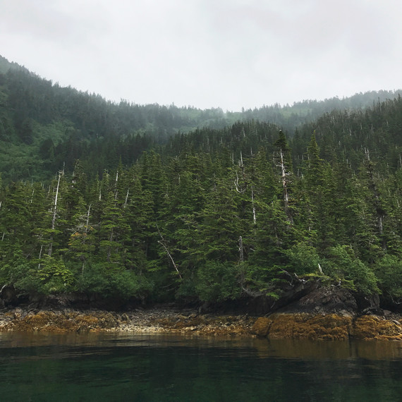 eagles alaska drifters fish eagles alaska drifters fish