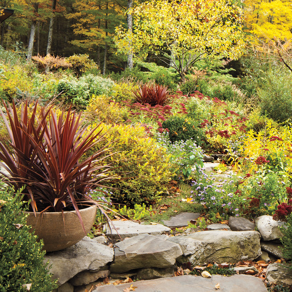 fall-rohdie-garden-0110-md109241.jpg