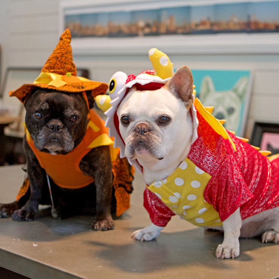 francesca-sharkey-halloween-8280.jpg