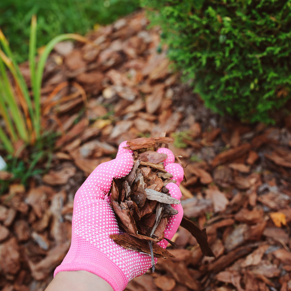 how to choose mulch how to choose mulch