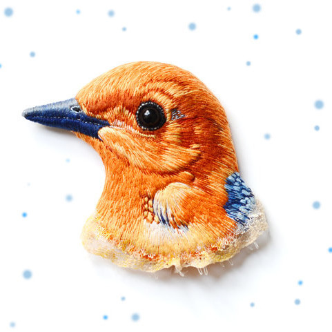 orange thrush by paulina bartnik orange thrush by paulina bartnik