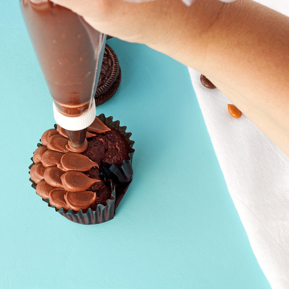 owl--owl-cupcakes--cupcakes-1015.jpg (skyword:195297)
