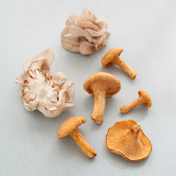 oyster-chanterelle-mushrooms-027.jpg